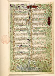 Dodać. 28841, f.7, Kwiaty, owoce i owady, w tym konik polny i szarańcza, z traktatu o cnotach i wadach oraz anonimowa historia prozy Sycylii (fragment)