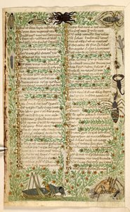 Dodać. 28841, f.7v: Kwiaty, owoce i owady, w tym skorpion i jaszczurka.  Traktat o cnotach i wadach oraz anonimowa proza historia Sycylii (fragment)  Cocharelli