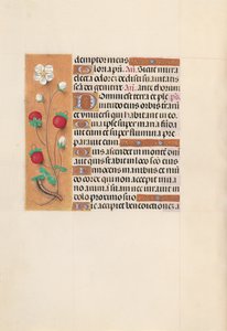Godziny królowej Izabeli Katolickiej, królowej Hiszpanii: Fol. 102v, ok. 1500. autorstwa Master of the First Prayerbook of Maximillian