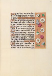 Godziny królowej Izabeli Katolickiej, królowej Hiszpanii: Fol. 104r, ok. 1500. autorstwa Master of the First Prayerbook of Maximillian