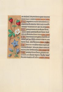 Godziny królowej Izabeli Katolickiej, królowej Hiszpanii: Fol. 105v, ok. 1500. autorstwa Master of the First Prayerbook of Maximillian