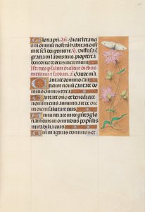 Godzinki królowej Izabeli Katolickiej, królowej Hiszpanii:  Fol. 107r autorstwa Master of the First Prayerbook of Maximillian