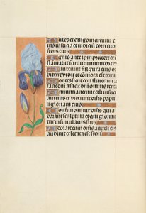 Godziny królowej Izabeli Katolickiej, królowej Hiszpanii: Fol. 108v, ok. 1500. autorstwa Master of the First Prayerbook of Maximillian