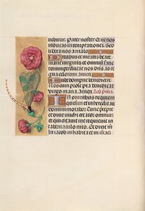 Godziny królowej Izabeli Katolickiej, królowej Hiszpanii: Fol. 110v, ok. 1500. autorstwa Master of the First Prayerbook of Maximillian