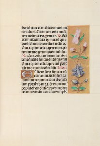 Godziny królowej Izabeli Katolickiej, królowej Hiszpanii: Fol. 111r, ok. 1500. autorstwa Master of the First Prayerbook of Maximillian