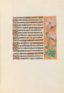 Godziny królowej Izabeli Katolickiej, królowej Hiszpanii: Fol. 113r, ok. 1500. autorstwa Master of the First Prayerbook of Maximillian
