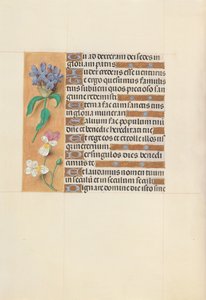 Godziny królowej Izabeli Katolickiej, królowej Hiszpanii: Fol. 113v, ok. 1500. autorstwa Master of the First Prayerbook of Maximillian