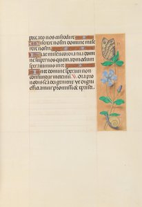 Godziny królowej Izabeli Katolickiej, królowej Hiszpanii: Fol. 114r, ok. 1500. autorstwa Master of the First Prayerbook of Maximillian