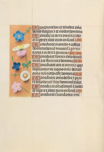 Godziny królowej Izabeli Katolickiej, królowej Hiszpanii: Fol. 119v, ok. 1500. autorstwa Master of the First Prayerbook of Maximillian