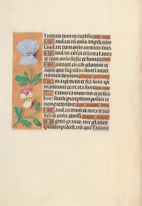 Godzinki królowej Izabeli Katolickiej, królowej Hiszpanii:  Fol. 120v autorstwa Master of the First Prayerbook of Maximillian
