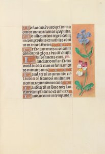 Godziny królowej Izabeli Katolickiej, królowej Hiszpanii: Fol. 122r, ok. 1500. autorstwa Master of the First Prayerbook of Maximillian
