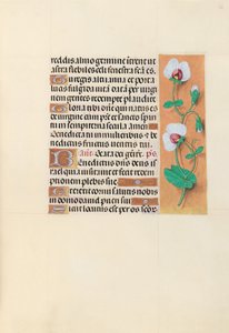 Godziny królowej Izabeli Katolickiej, królowej Hiszpanii: Fol. 123r, ok. 1500. autorstwa Master of the First Prayerbook of Maximillian