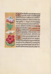 Godziny królowej Izabeli Katolickiej, królowej Hiszpanii: Fol. 129v, ok. 1500. autorstwa Master of the First Prayerbook of Maximillian