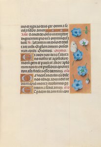 Godziny królowej Izabeli Katolickiej, królowej Hiszpanii: Fol. 130r, ok. 1500. autorstwa Master of the First Prayerbook of Maximillian