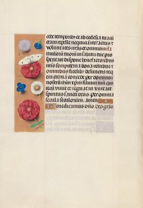 Godziny królowej Izabeli Katolickiej, królowej Hiszpanii: Fol. 130v, ok. 1500. autorstwa Master of the First Prayerbook of Maximillian