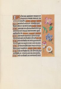 Godziny królowej Izabeli Katolickiej, królowej Hiszpanii: Fol. 133r, ok. 1500. autorstwa Master of the First Prayerbook of Maximillian