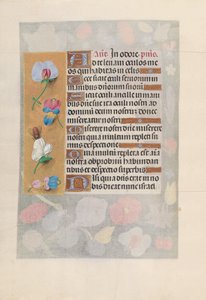 Godziny królowej Izabeli Katolickiej, królowej Hiszpanii: Fol. 137v, ok. 1500. autorstwa Master of the First Prayerbook of Maximillian