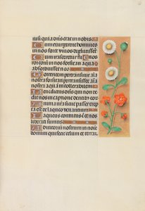 Godziny królowej Izabeli Katolickiej, królowej Hiszpanii: Fol. 138r, ok. 1500. autorstwa Master of the First Prayerbook of Maximillian