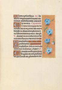 Godziny królowej Izabeli Katolickiej, królowej Hiszpanii: Fol. 139r, ok. 1500. autorstwa Master of the First Prayerbook of Maximillian