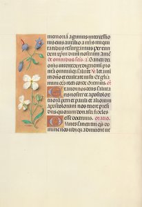 Godziny królowej Izabeli Katolickiej, królowej Hiszpanii: Fol. 139v, ok. 1500. autorstwa Master of the First Prayerbook of Maximillian