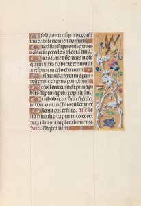 Godziny królowej Izabeli Katolickiej, królowej Hiszpanii: Fol. 148r, ok. 1500. autorstwa Master of the First Prayerbook of Maximillian