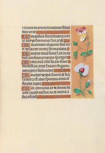 Godziny królowej Izabeli Katolickiej, królowej Hiszpanii: Fol. 150r, ok. 1500. autorstwa Master of the First Prayerbook of Maximillian