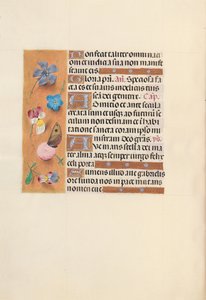 Godziny królowej Izabeli Katolickiej, królowej Hiszpanii: Fol. 150v, ok. 1500. autorstwa Master of the First Prayerbook of Maximillian