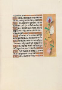 Godziny królowej Izabeli Katolickiej, królowej Hiszpanii: Fol. 156r, ok. 1500. autorstwa Master of the First Prayerbook of Maximillian