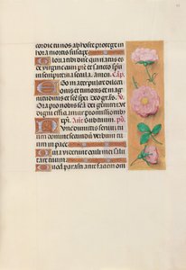 Godziny królowej Izabeli Katolickiej, królowej Hiszpanii: Fol. 157r, ok. 1500. autorstwa Master of the First Prayerbook of Maximillian