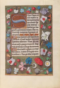 Godziny królowej Izabeli Katolickiej, królowej Hiszpanii: Fol. 15r, ok. 1500. autorstwa Master of the First Prayerbook of Maximillian