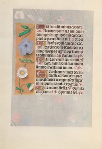Godziny królowej Izabeli Katolickiej, królowej Hiszpanii: Fol. 160v, ok. 1500. autorstwa Master of the First Prayerbook of Maximillian