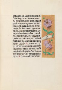 Godziny królowej Izabeli Katolickiej, królowej Hiszpanii: Fol. 163r, ok. 1500.