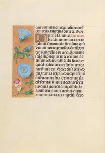Godziny królowej Izabeli Katolickiej, królowej Hiszpanii: Fol. 163v, ok. 1500. autorstwa Master of the First Prayerbook of Maximillian