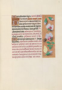 Godziny królowej Izabeli Katolickiej, królowej Hiszpanii: Fol. 165r, ok. 1500. autorstwa Master of the First Prayerbook of Maximillian