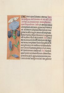 Godziny królowej Izabeli Katolickiej, królowej Hiszpanii: Fol. 165v, ok. 1500. autorstwa Master of the First Prayerbook of Maximillian