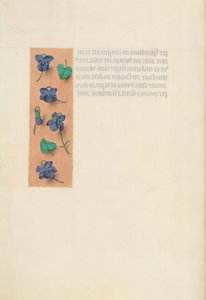 Godziny królowej Izabeli Katolickiej, królowej Hiszpanii: Fol. 16v, Krótka ramka, c. 1500. autorstwa Master of the First Prayerbook of Maximillian