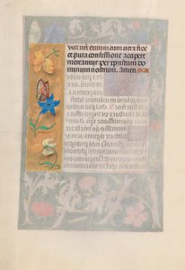 Godziny królowej Izabeli Katolickiej, królowej Hiszpanii: Fol. 192v, ok. 1500. autorstwa Master of the First Prayerbook of Maximillian