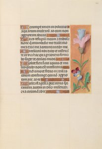Godziny królowej Izabeli Katolickiej, królowej Hiszpanii: Fol. 202r, ok. 1500. autorstwa Master of the First Prayerbook of Maximillian