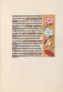 Godziny królowej Izabeli Katolickiej, królowej Hiszpanii: Fol. 205r, ok. 1500. autorstwa Master of the First Prayerbook of Maximillian