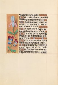Godziny królowej Izabeli Katolickiej, królowej Hiszpanii: Fol. 207v, ok. 1500. autorstwa Master of the First Prayerbook of Maximillian
