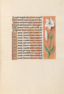 Godziny królowej Izabeli Katolickiej, królowej Hiszpanii: Fol. 211r, ok. 1500. autorstwa Master of the First Prayerbook of Maximillian