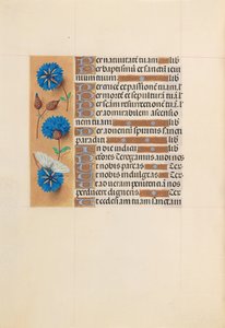 Godziny królowej Izabeli Katolickiej, królowej Hiszpanii: Fol. 213v, ok. 1500. autorstwa Master of the First Prayerbook of Maximillian