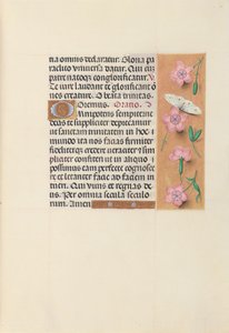 Godziny królowej Izabeli Katolickiej, królowej Hiszpanii: Fol. 21r, ok. 1500. autorstwa Master of the First Prayerbook of Maximillian
