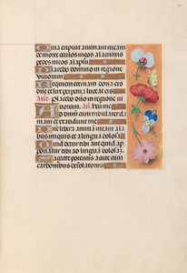 Godziny królowej Izabeli Katolickiej, królowej Hiszpanii: Fol. 221r, ok. 1500. autorstwa Master of the First Prayerbook of Maximillian