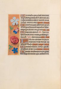 Godziny królowej Izabeli Katolickiej, królowej Hiszpanii: Fol. 221v, ok. 1500. autorstwa Master of the First Prayerbook of Maximillian