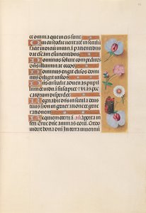 Godziny królowej Izabeli Katolickiej, królowej Hiszpanii: Fol. 225r, ok. 1500. autorstwa Master of the First Prayerbook of Maximillian