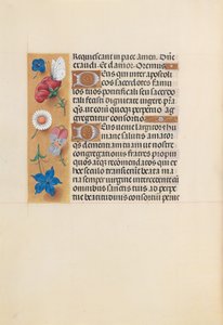 Godziny królowej Izabeli Katolickiej, królowej Hiszpanii: Fol. 225v, ok. 1500. autorstwa Master of the First Prayerbook of Maximillian