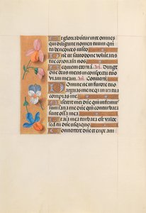 Godziny królowej Izabeli Katolickiej, królowej Hiszpanii: Fol. 228v, ok. 1500. autorstwa Master of the First Prayerbook of Maximillian