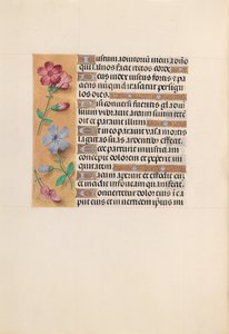 Godziny królowej Izabeli Katolickiej, królowej Hiszpanii: Fol. 230v, ok. 1500. autorstwa Master of the First Prayerbook of Maximillian