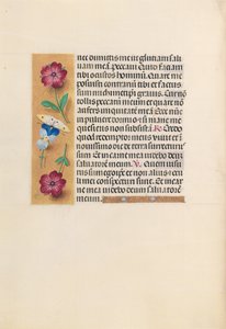 Godziny królowej Izabeli Katolickiej, królowej Hiszpanii: Fol. 231v, ok. 1500. autorstwa Master of the First Prayerbook of Maximillian
